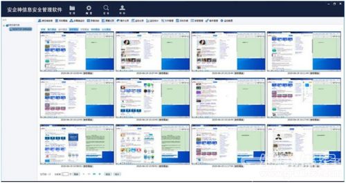 安企神信息安全管理軟件上網行為監控助手V5.2綠色版 企業網絡與信息安全開發的得力助手
